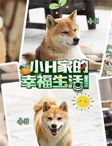 伊斯坦布尔百科全书