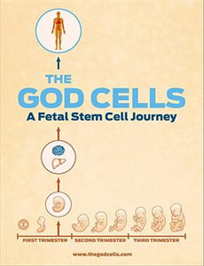 天下有情之天涯路