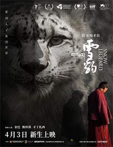 嘟当曼交通工具